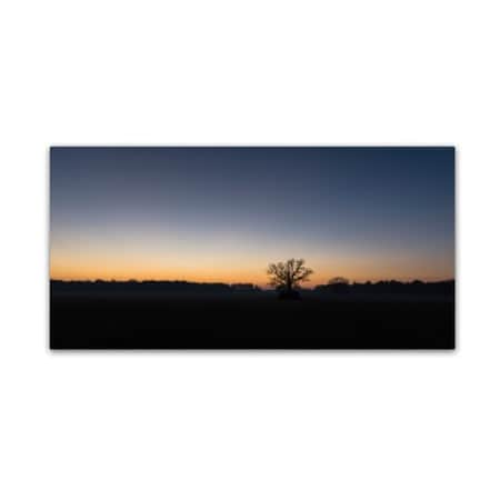 Kurt Shaffer 'Twilight Silhouette 2' Canvas Art,12x24